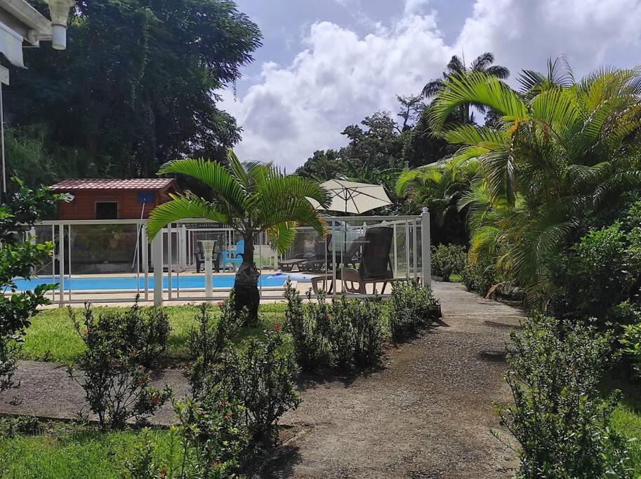 Le Tri Haut De Bellevue - Bungalow Heliconia Пуэнт-Нуар Экстерьер фото